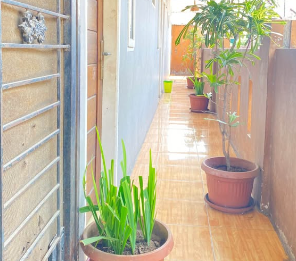 Foto properti